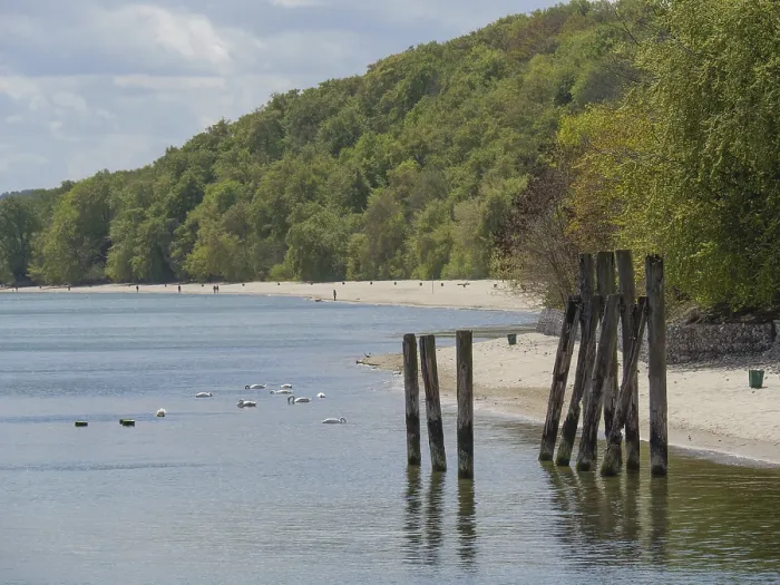 Framed Print : View along the coast with a forest in the background