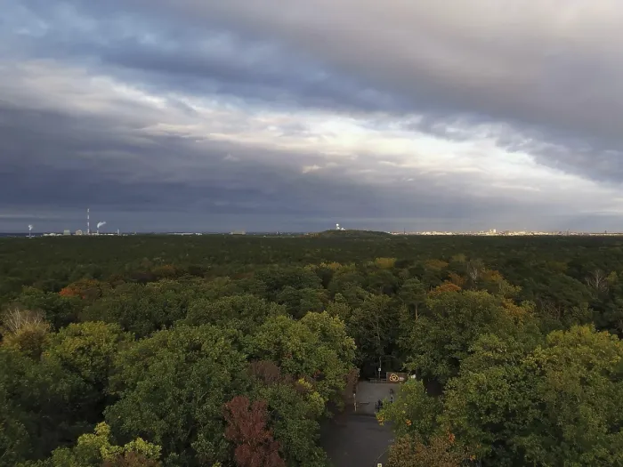Framed Print : View over a deciduous forest in the park to the horizon in the evening with clouds