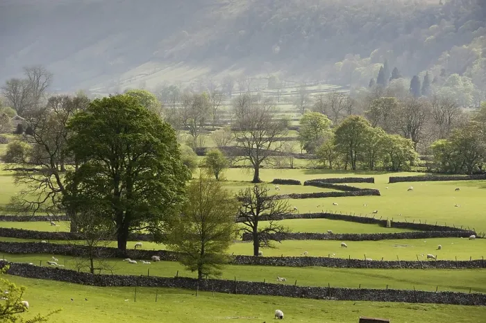 Framed Print : View of farmland with drystone walls Framed Print : View of farmland with drystone walls