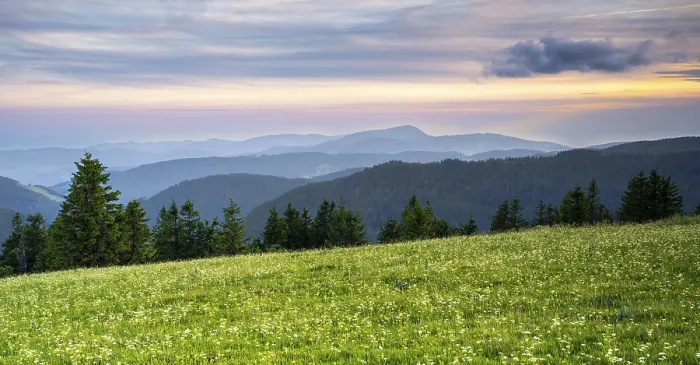 Framed Print : View from Feldberg on a landscape with flower meadow