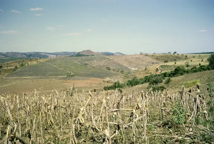 Framed Print : View over fields Fazenda Sant Anna, Campinas, Brazil, South America 1962, South America