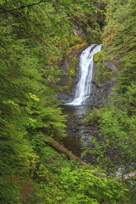 Framed Print : A view through the forest at Beaupre Falls in British Columbia