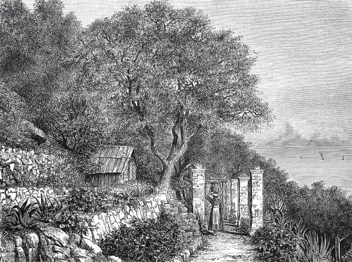 Framed Print : View of the garden of Villa Bennet in 1880