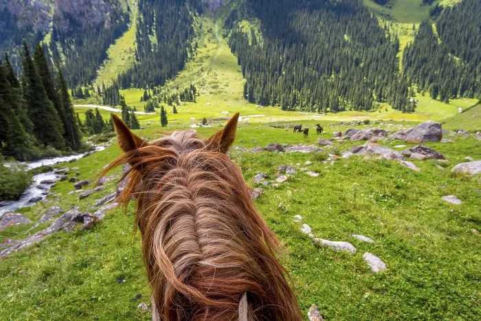 Framed Print : View over green valley and mountains from the horse back Framed Print : View over green valley and mountains from the horse back