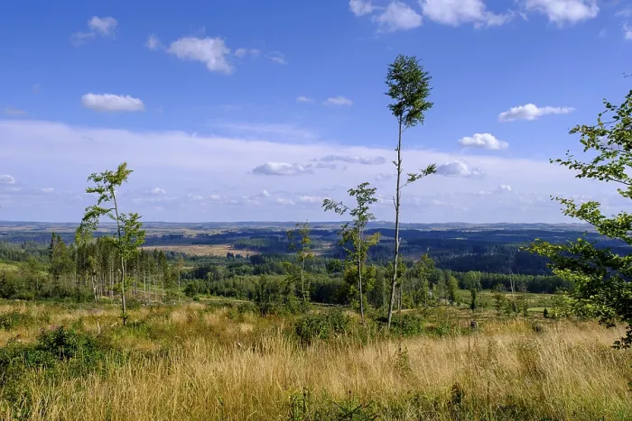 Framed Print : View over the Harz Mountains, dead trees Framed Print : View over the Harz Mountains, dead trees