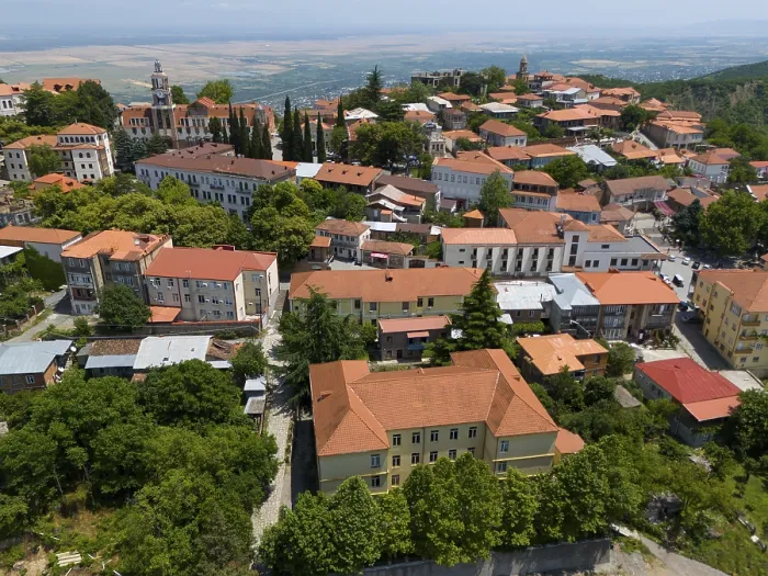 Framed Print : View of a hill town with traditional roofs and many trees in an extensive panorama