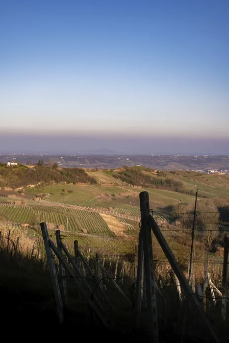 Framed Print : View over hilly vineyards with clear sky and sunset Framed Print : View over hilly vineyards with clear sky and sunset