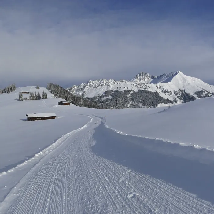 Framed Print : View from Hohe Wispile, Gstaad