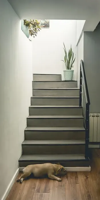 Framed Print : View of a home interior modern staircase and a dog sleeping on the floor Framed Print : View of a home interior modern staircase and a dog sleeping on the floor