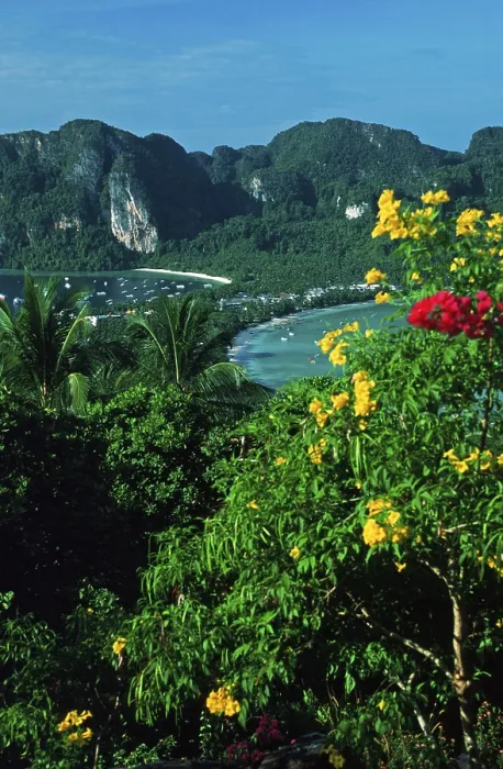 Framed Print : View of the island from the viewpoint one year in front of the tsunami