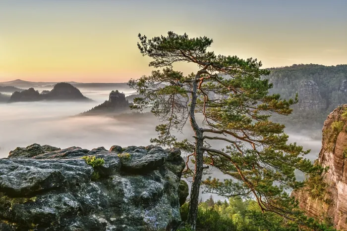 Framed Print : View from Kleiner Winterberg at sunrise Framed Print : View from Kleiner Winterberg at sunrise