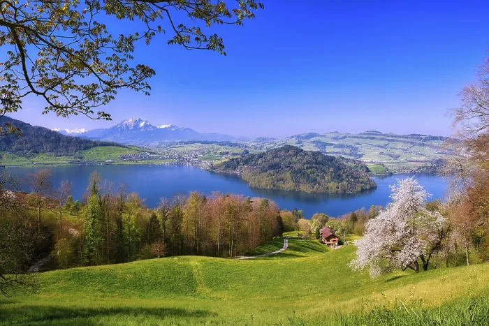 Framed Print : View of Lake Zug with Chiemen peninsula