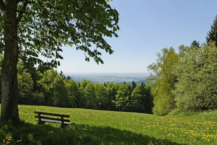 Framed Print : View from Maibrunn on the Danube plain and the Gaeuboden area Framed Print : View from Maibrunn on the Danube plain and the Gaeuboden area