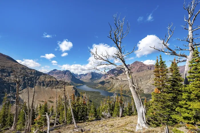 Framed Print : View of Two Medicine Lake with dead trees