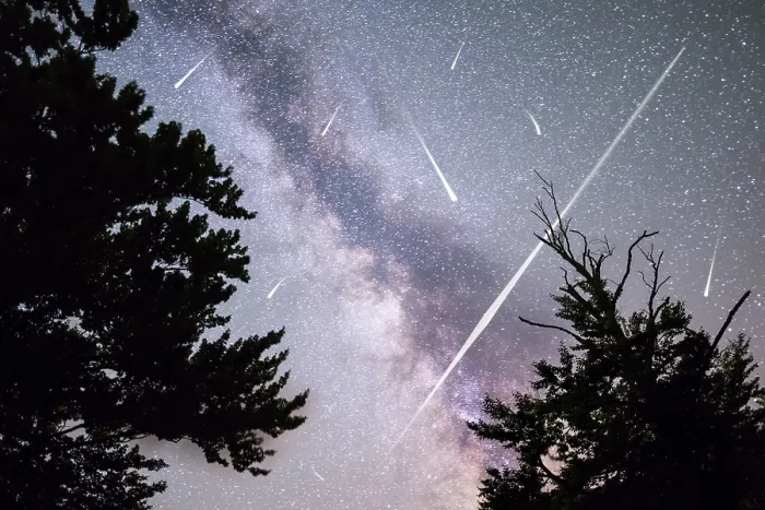 Framed Print : A view of a Meteor Shower and the Milky Way with a pine trees forest silhouette in the foreground