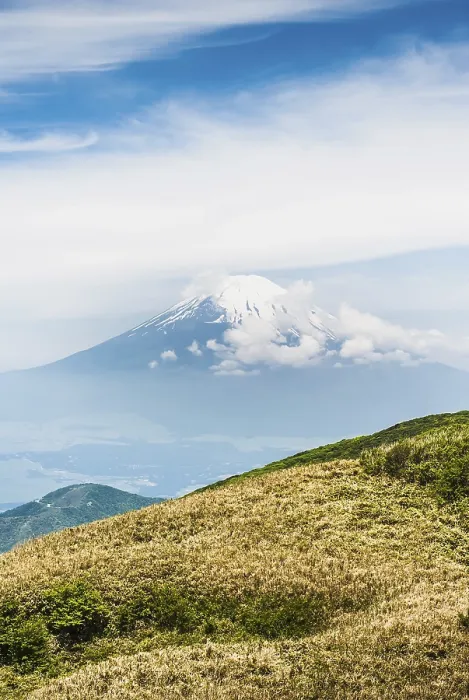 Framed Print : View of Mount Fuji in spring in Japan