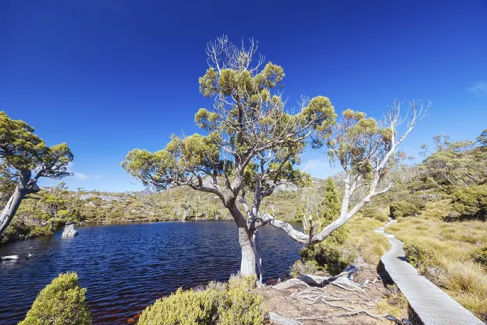 Framed Print : The view of mountain landscape around Wombat Pool on the Overland Track on a warm autumn morning in Cradle Mountain
