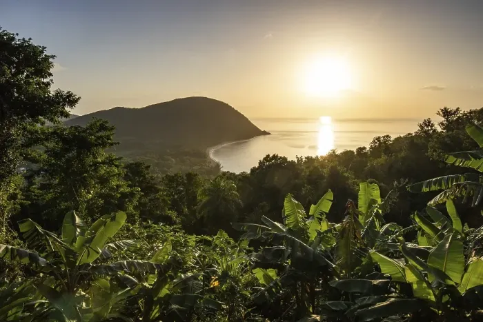 Framed Print : View from a mountain to a secluded bay with a sandy beach and mangrove forest Framed Print : View from a mountain to a secluded bay with a sandy beach and mangrove forest