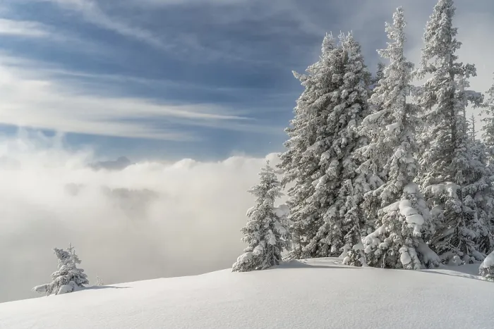 Framed Print : View from Mountain Wannenkopf near Nagelfluhkette in winter above the clouds Framed Print : View from Mountain Wannenkopf near Nagelfluhkette in winter above the clouds