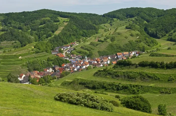 Framed Print : View from Mt Badberg of the village of Schelingen