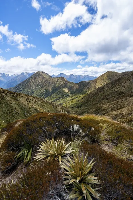 Framed Print : View of Murchison Mountains and Kepler Mountains