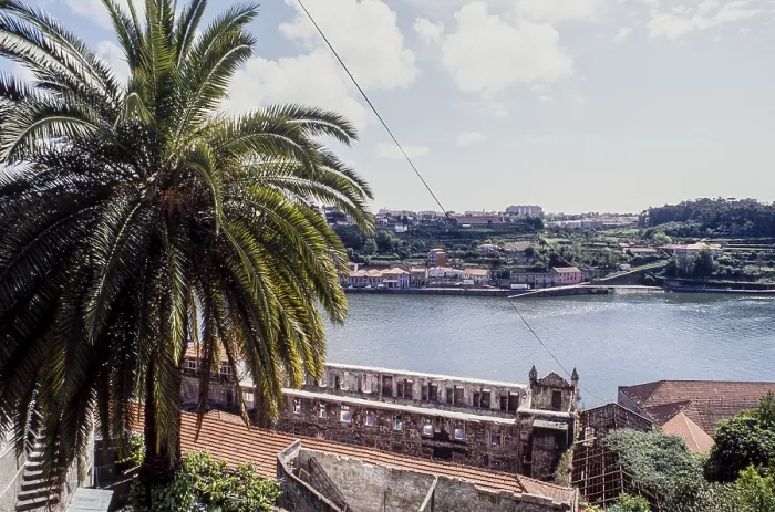 Framed Print : View from Palacio de Cristal over Douro with palm tree in the foreground Framed Print : View from Palacio de Cristal over Douro with palm tree in the foreground