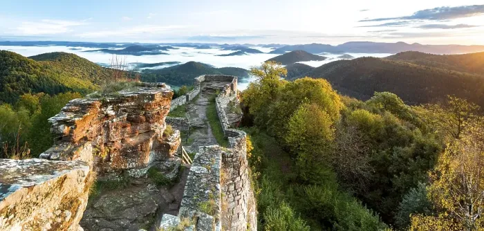 Framed Print : View of the Palatinate Forest from Wegelnburg Castle