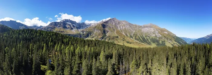 Framed Print : View over the Rauris primeval forest to the Hohe Sonnblick