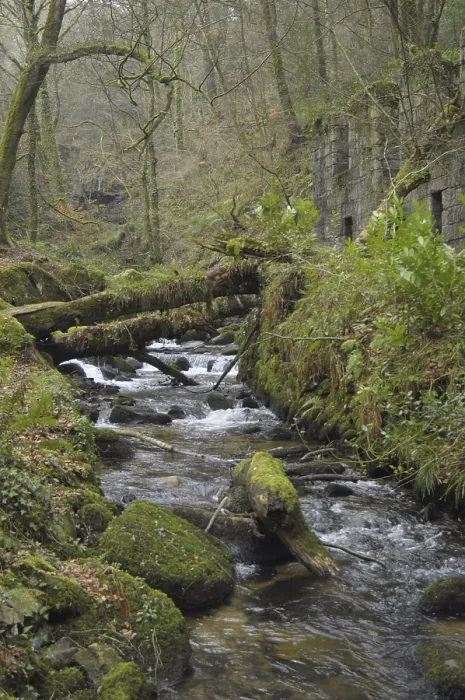 Framed Print : View of river flowing through deciduous woodland habitat