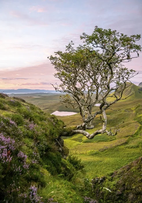 Framed Print : View of rocky landscape Quiraing at sunrise