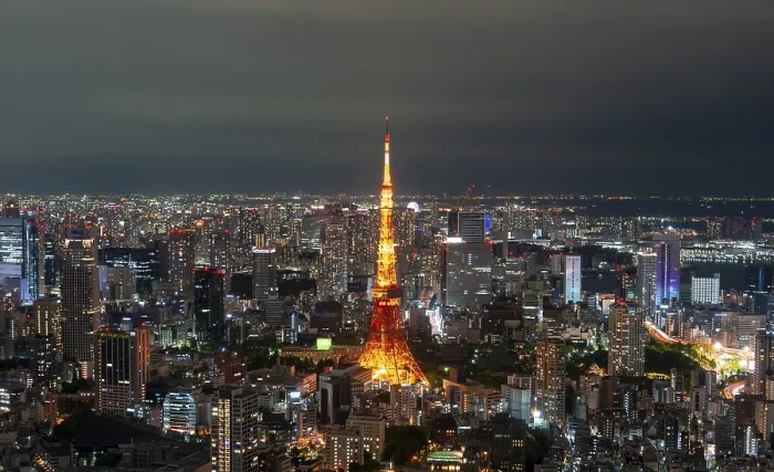 Framed Print : View from Roppongi Hills, city view from Tokyo at night