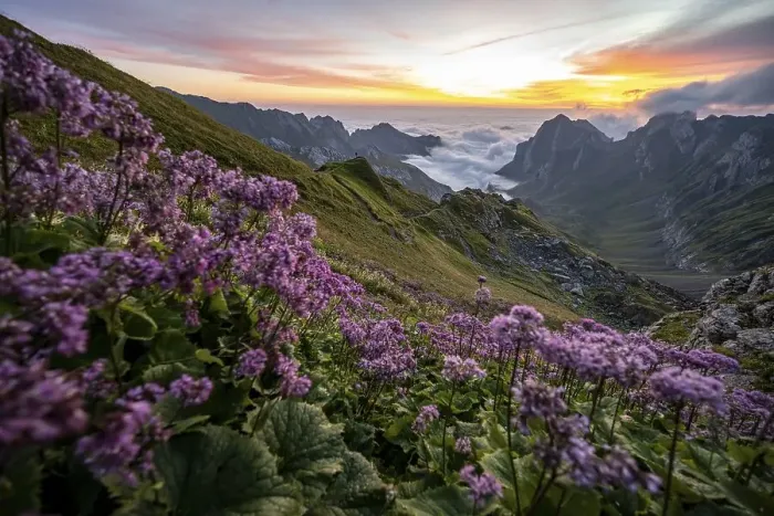 Framed Print : View over Saentis mountains into the valley of Meglisalp at sunrise Framed Print : View over Saentis mountains into the valley of Meglisalp at sunrise
