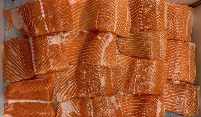 Framed Print : Top view of salmon fish display at market Framed Print : Top view of salmon fish display at market