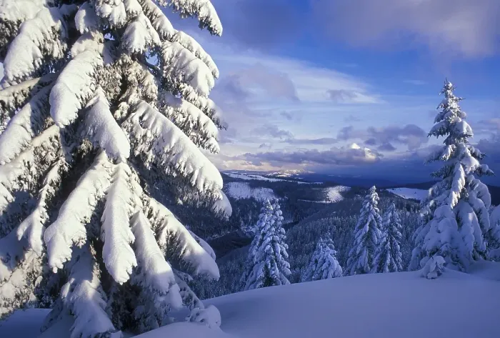 Framed Print : View from the Seebuck on the snow covers South Black Forest Framed Print : View from the Seebuck on the snow covers South Black Forest
