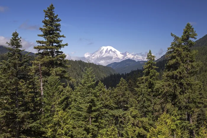 Framed Print : View of the snow-capped volcanic cone of Mount Rainier