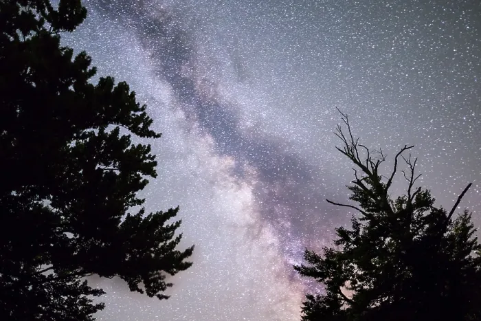 Framed Print : A view of the stars of the Milky Way with a pine trees forest silhouette in the foreground