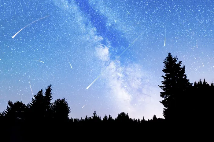 Framed Print : A view of the stars of the Milky Way with a silhouette of a pine trees forest in the foreground