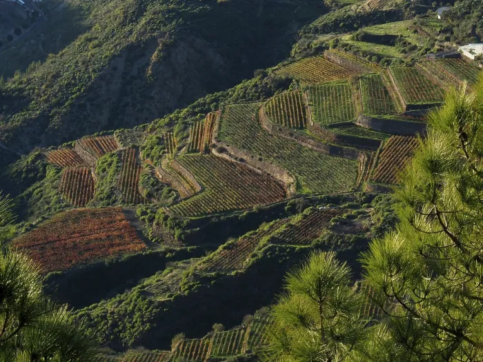 Framed Print : View of terraced fields in the midst of a green mountain landscape Framed Print : View of terraced fields in the midst of a green mountain landscape