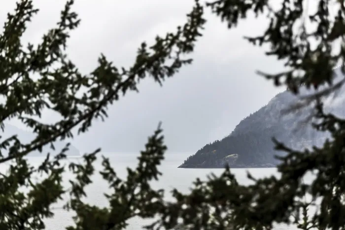 Framed Print : View through tree branches of water