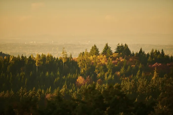 Framed Print : View over the trees and forest of the front bavarian forest in autumn near Wiesent