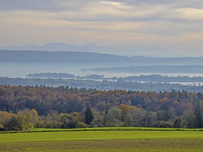 Framed Print : View over the Untersee near Radolfzell to the Mettnau peninsula
