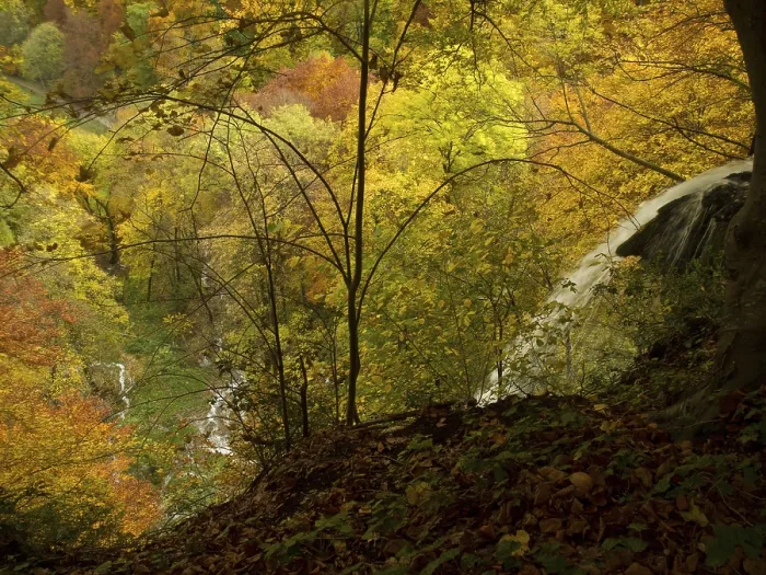 Framed Print : View of Urach waterfall in autumnal forest Framed Print : View of Urach waterfall in autumnal forest