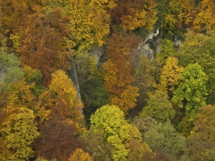 Framed Print : View of Urach waterfall in autumnal forest Framed Print : View of Urach waterfall in autumnal forest