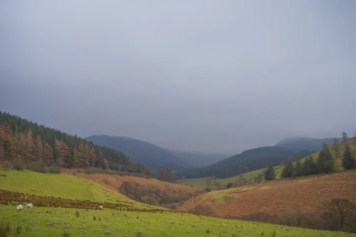 Framed Print : View of the valley and Whinlatter Forest in cloudy weather
