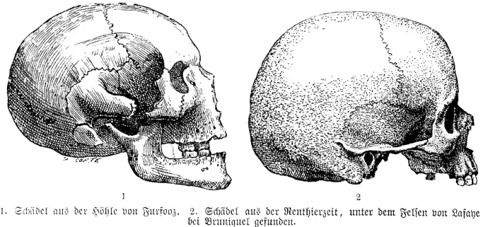 Framed Print : Side view of various skulls from different excavations, cave of Furfooz in Belgium, rocks near Bruniquel, archaeology, palaeontology, history of mankind, France, historical illustration1880, Europe Framed Print : Side view of various skulls from different excavations, cave of Furfooz in Belgium, rocks near Bruniquel, archaeology, palaeontology, history of mankind, France, historical illustration1880, Europe
