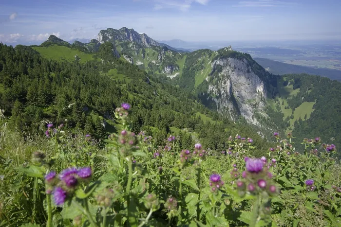 Framed Print : View from the Vorderer Kirchstein to the Achselkoepfe and the legendary Benediktenwand Framed Print : View from the Vorderer Kirchstein to the Achselkoepfe and the legendary Benediktenwand