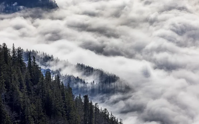 Framed Print : View from Vormauerstein of a sea of fog on Lake Wolfgang