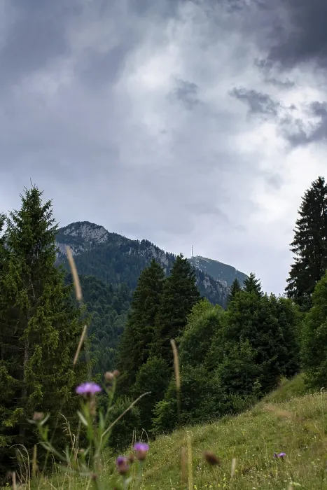 Framed Print : View of the Wendelstein with green trees and cloudy sky Framed Print : View of the Wendelstein with green trees and cloudy sky
