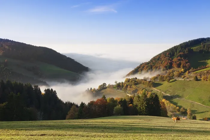 Framed Print : View from Wiedener Eck over the Rhine plain during fog