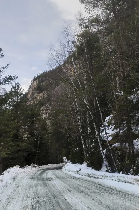 Framed Print : A view of a winter mountain road covered with snow and sand in a pine forest